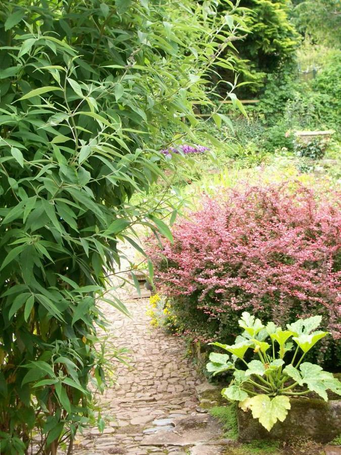 Middletown Farmhouse B&B Okehampton Bagian luar foto
