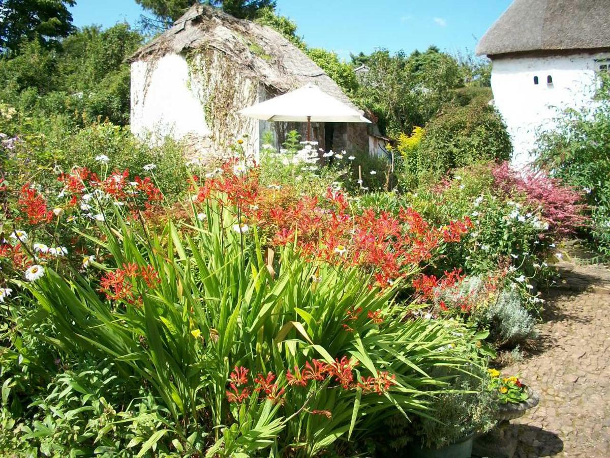 Middletown Farmhouse B&B Okehampton Bagian luar foto