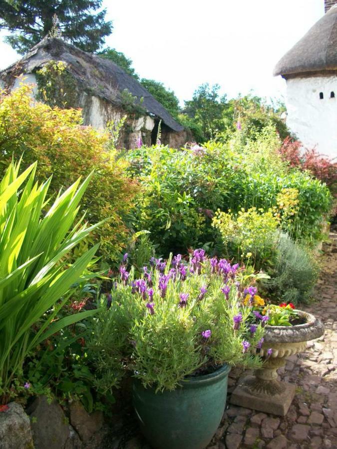 Middletown Farmhouse B&B Okehampton Bagian luar foto