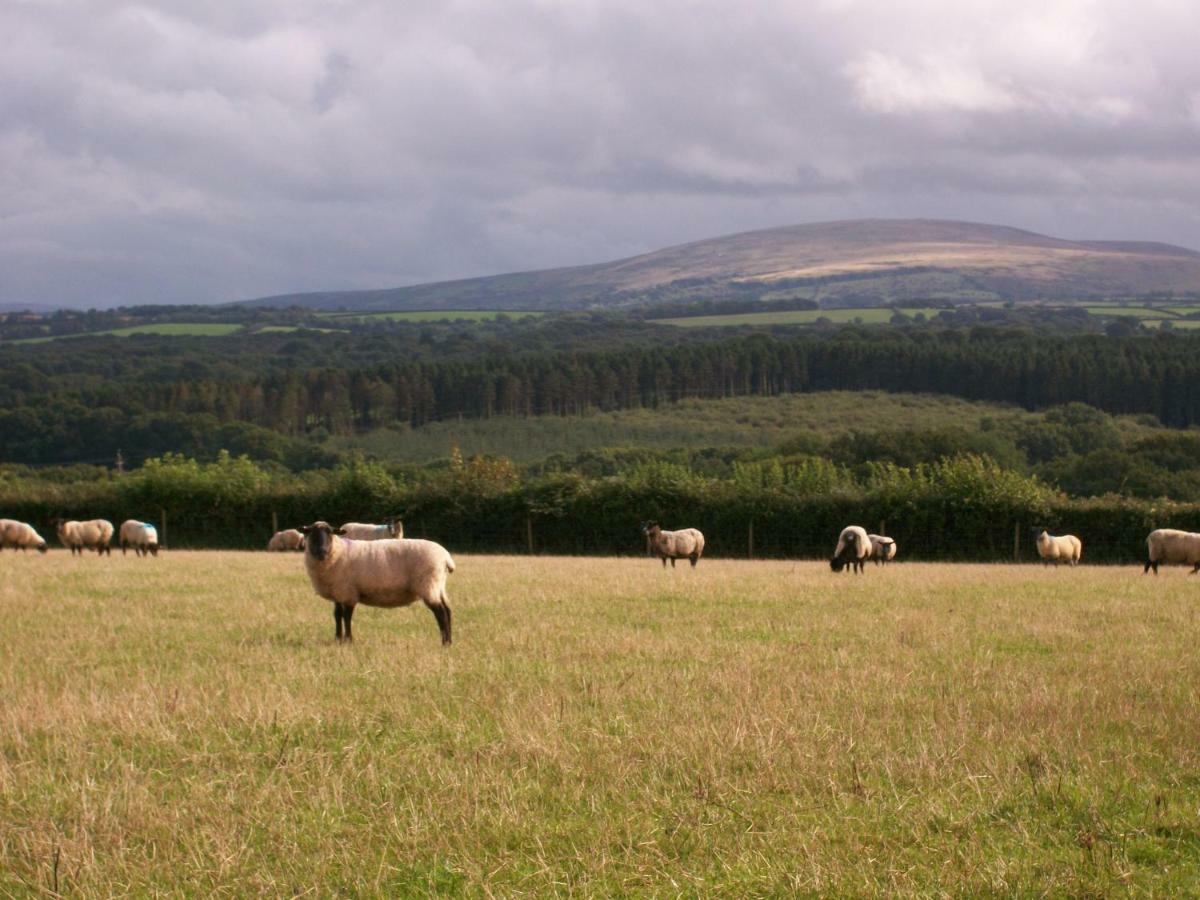 Middletown Farmhouse B&B Okehampton Bagian luar foto